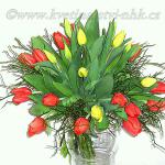 Dárková kytice 84 - žluté a červené tulipány