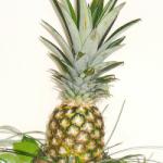 Netradiční kytice 50 - ananas